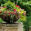 Container Gardens