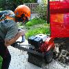 Stump Removal, Stump Grinding